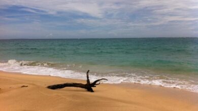 The Planet D: Adventure Travel Blog