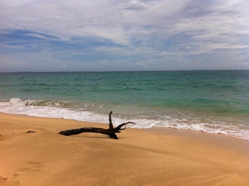 Was du wissen musst, um nach Tonga zu reisen.