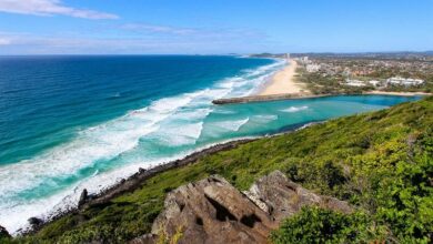 a view of the ocean from Burleigh Heads National Park, Gold Coast, Queensland, Australia