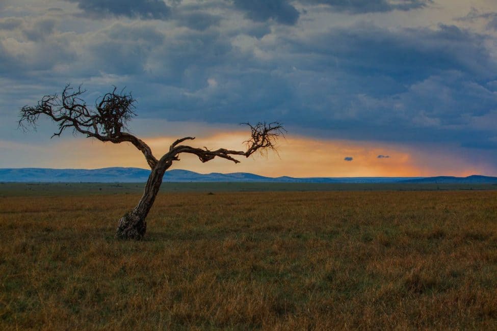 Was man auf Safari tragen sollte – Afrika-Reise von innen und außen