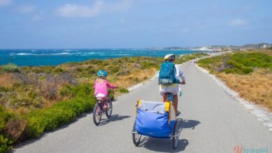 people bike riding on a road next to the ocean