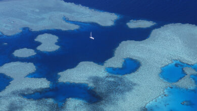 aerial view of the great barrier reef