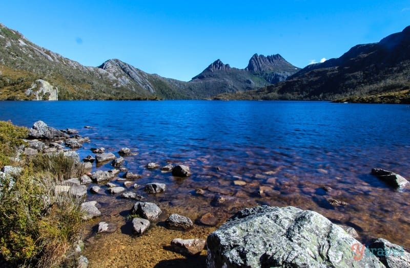 Wie man den Dove Lake Walk unter dem Cradle Mountain in Tasmanien geht