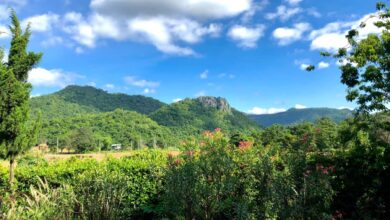 How to Visit Khao Yai National Park