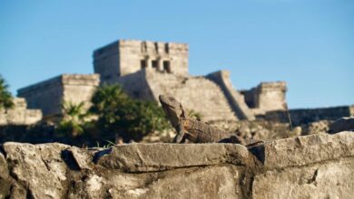 How to Visit the Mayan Ruins of Tulum
