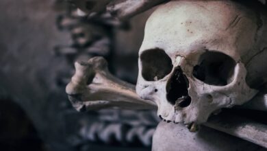 How to Visit the Sedlec Ossuary (Kutna Hora) Bone Church