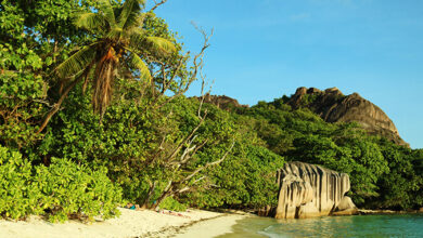 How to Visit the Seychelles on a Budget