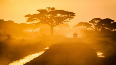 How to Travel Around Africa