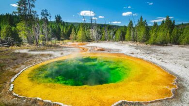 Where to Stay in Yellowstone National Park – Guide to the Best Hotels