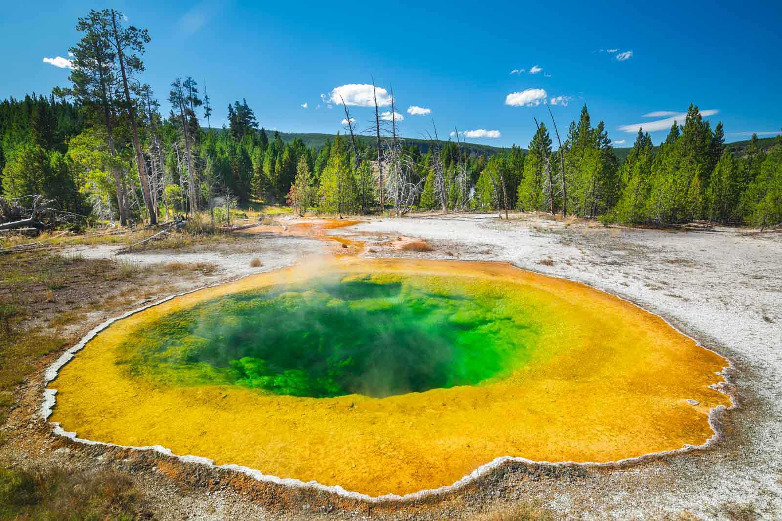 Wo man im Yellowstone National Park übernachten sollte – Leitfaden zu den besten Hotels