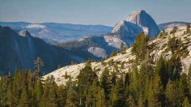 Where to Stay in Yosemite National Park