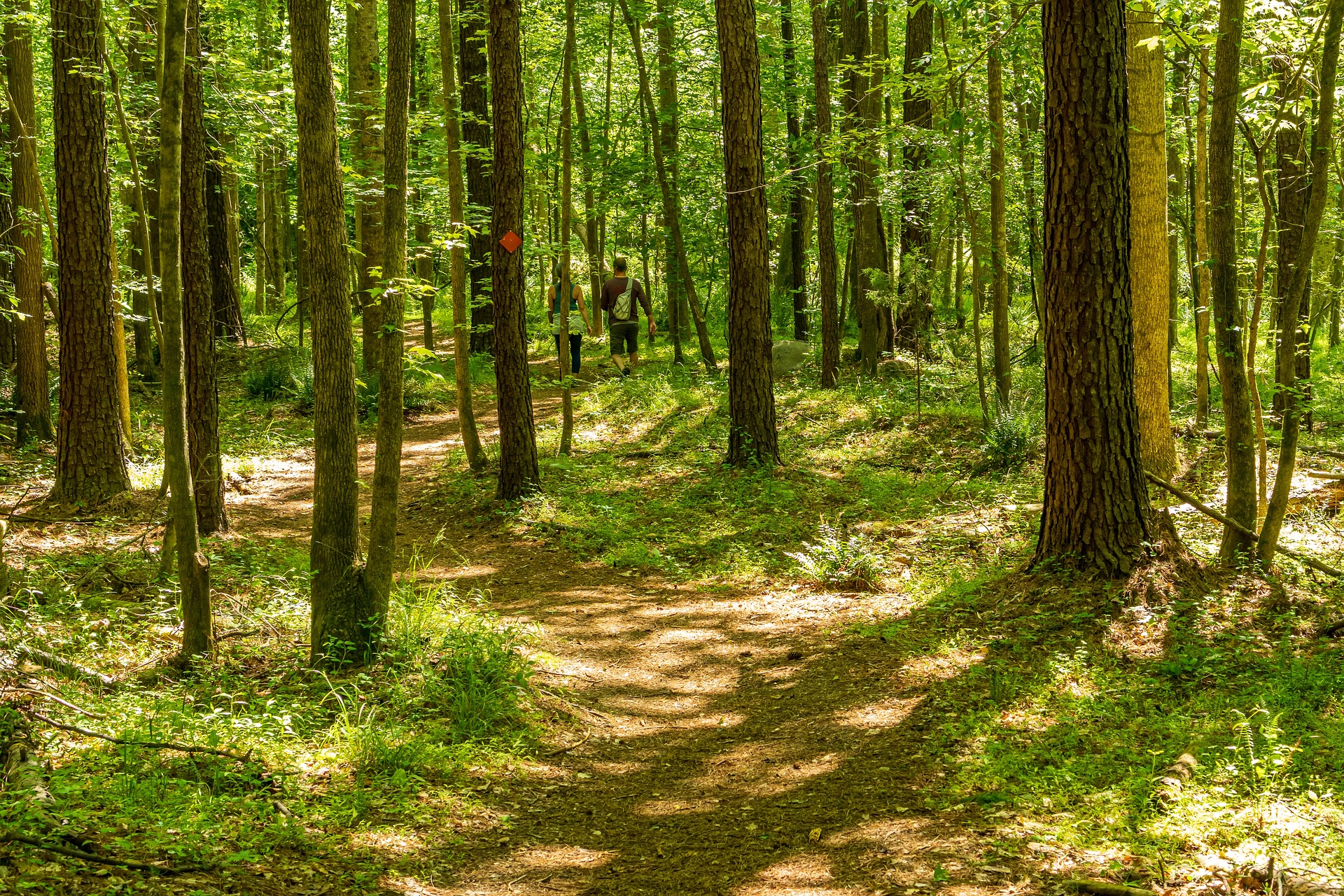 Die besten Orte in den Bergen von North Carolina