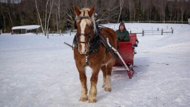 10 VALENTINE’S DAY GETAWAYS IN ONTARIO, CANADA