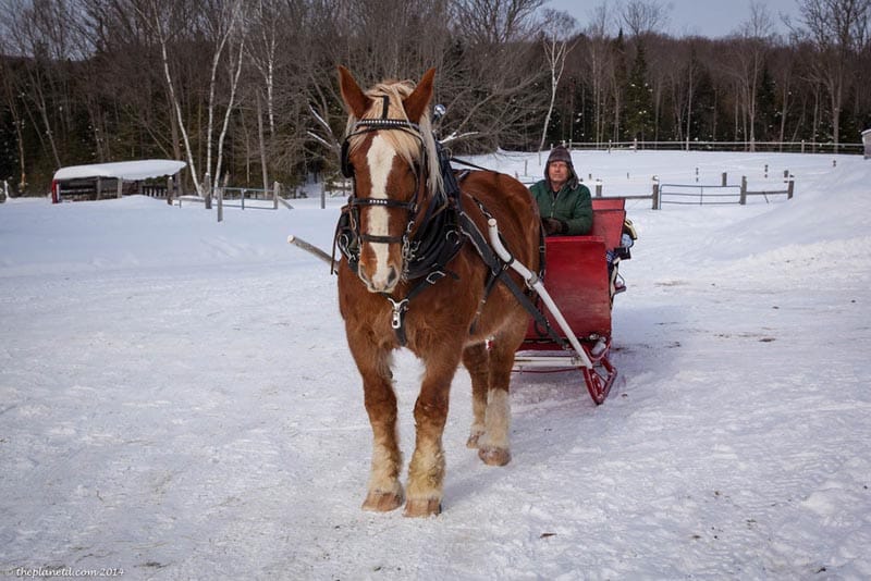 10 Valentinstag-Ausflüge in Ontario, Kanada