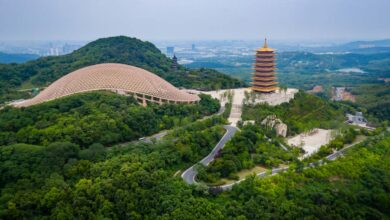 13 Things to do in Nanjing China – A Complete Guide to the Ancient Capital