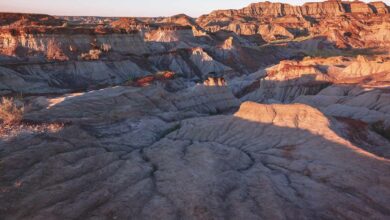 The Planet D: Adventure Travel Blog