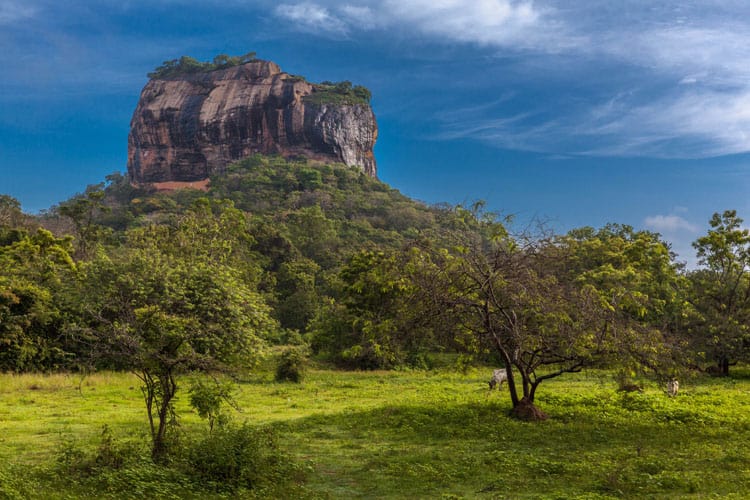 21 der besten Dinge, die man in Sri Lanka tun kann.