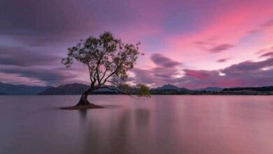 The Best Landscape Photography Tutorial Ever