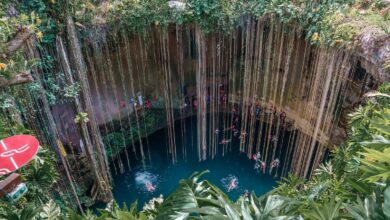 12 Best Cenotes In Mexico To Visit in 2023