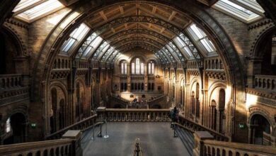 The Top 5 Museums in London you Have to See