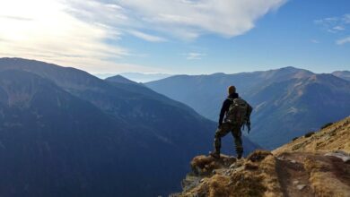 The Science of Wanderlust