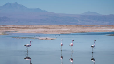 Best Things to do in San Pedro de Atacama, Chile