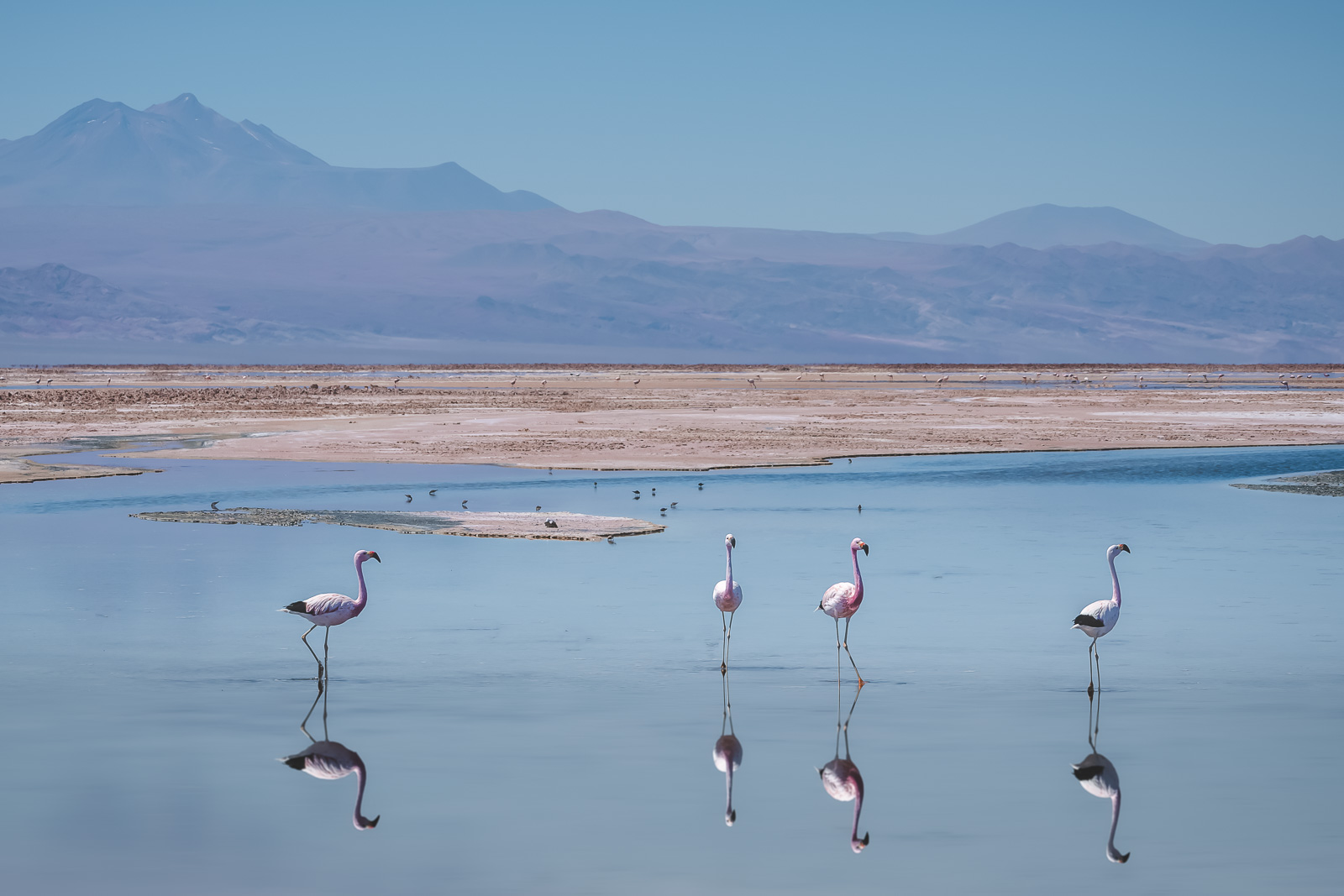 Die besten Dinge, die man in San Pedro de Atacama, Chile unternehmen kann.
