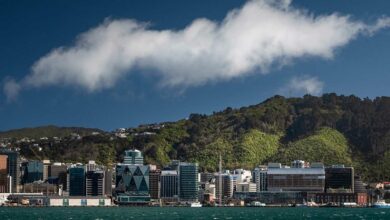 The Best Places to Visit in Wellington, New Zealand