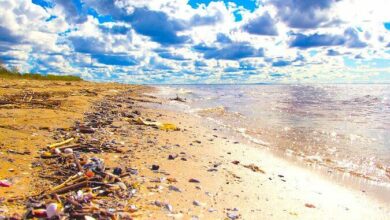 A Contrarian View: Why Travel is Bad for the World