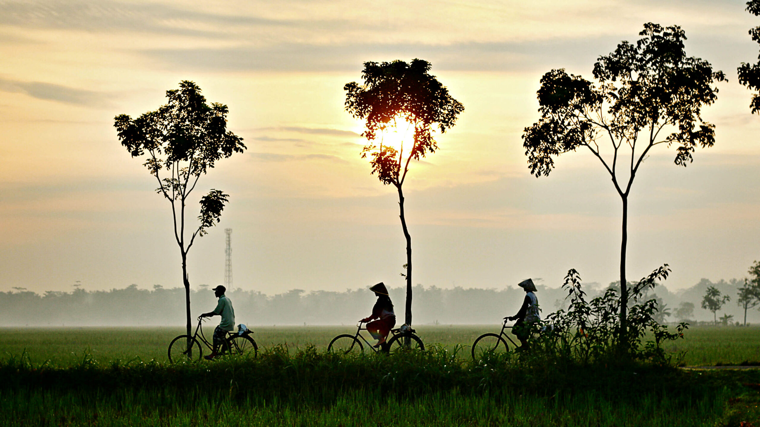 Fahrradfahren im Mekong-Delta in Vietnam