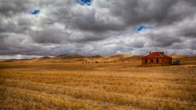 Midnight Oil Diesel and Dust – Photo of the Burra Homestead