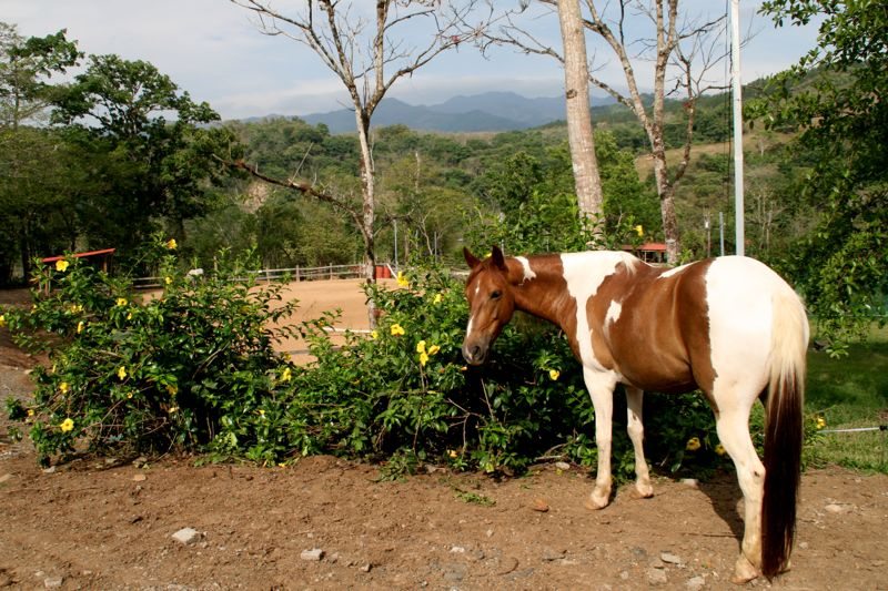 Wie man kostenlose Unterkünfte weltweit findet