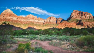 Where to Stay in Zion National Park – The Complete Guide