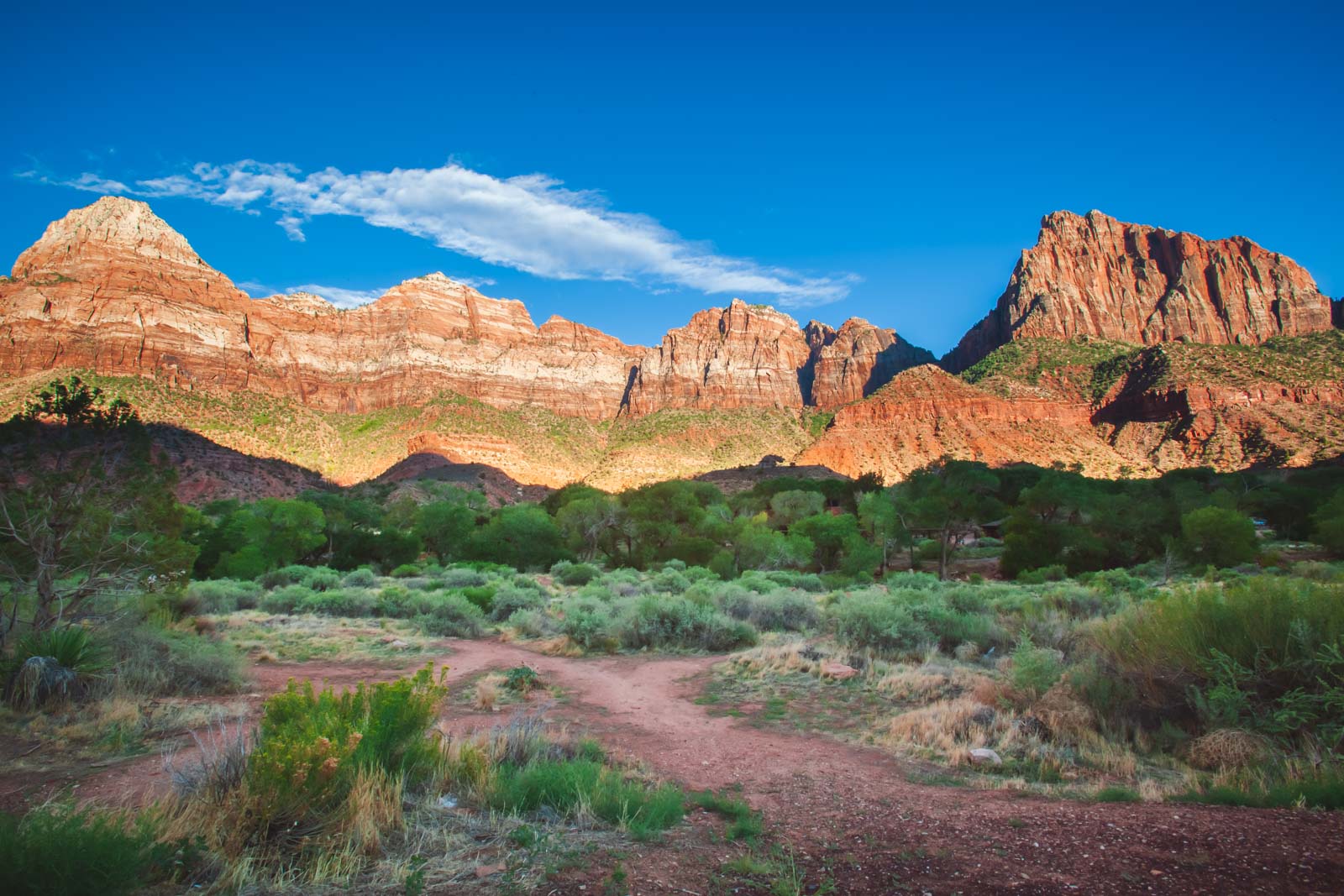 Wo man im Zion National Park übernachten kann – Der komplette Leitfaden - United States