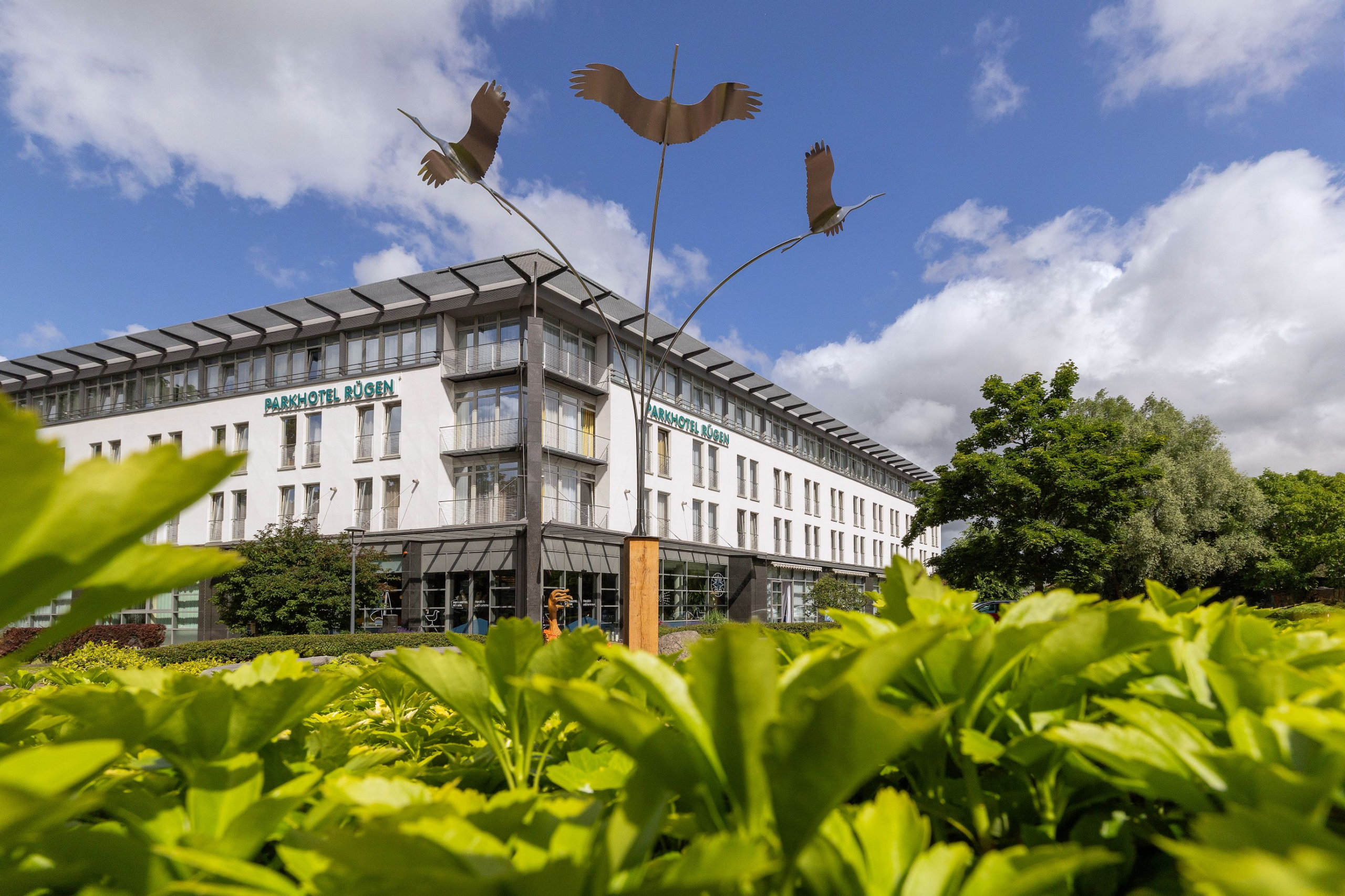 Parkhotel Rügen erhält Auszeichnung “Vier Sterne Superior” – Qualität, Service und Vielseitigkeit bestätigt