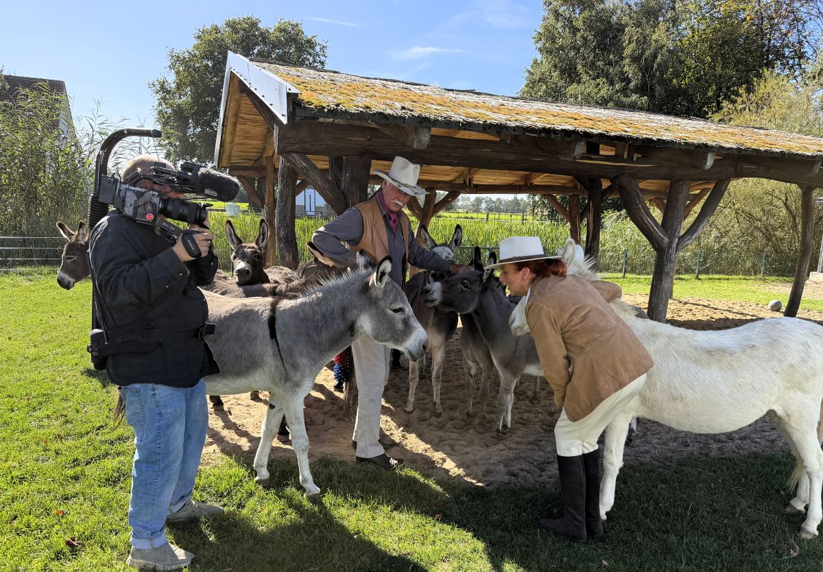 Der NDR auf der Ballermann Ranch